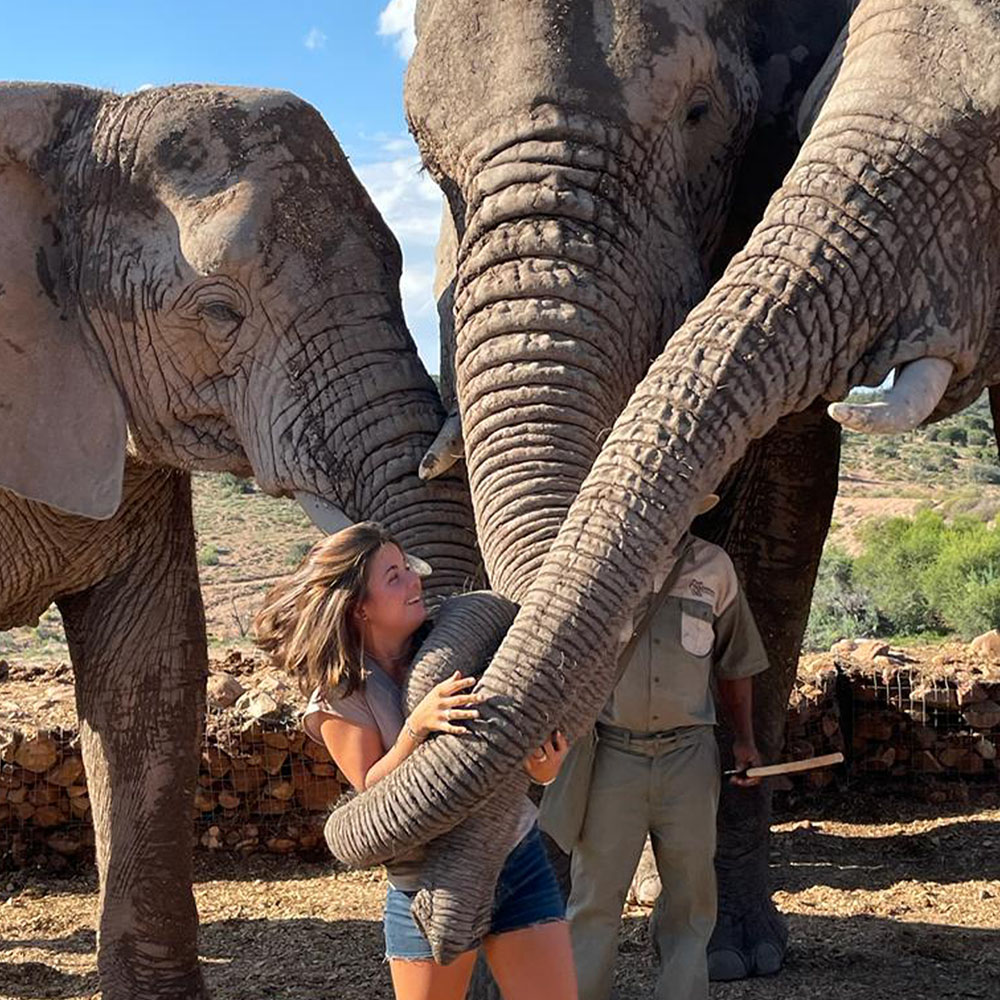 Año escolar en Sudáfrica
